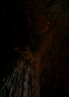 Filename=VampireDiaries-dot-nl_TheOriginals4x09QueenDeath2347.jpg
Filesize=164KiB
Dimensions=720x576
Date added=May 22, 2018 VampireDiaries-dot-nl_TheOriginals4x09QueenDeath2347.jpg