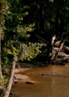 VampireDiaries-dot-nl_TheOriginals4x01GatherUpTheKillers-deletedscene0013.jpg