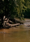 Filename=VampireDiaries-dot-nl_TheOriginals4x01GatherUpTheKillers-deletedscene0016.jpg
Filesize=289KiB
Dimensions=720x576
Date added=May 18, 2018 VampireDiaries-dot-nl_TheOriginals4x01GatherUpTheKillers-deletedscene0016.jpg