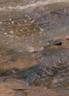 Filename=VampireDiaries-dot-nl_TheOriginals4x01GatherUpTheKillers-deletedscene0022.jpg
Filesize=252KiB
Dimensions=720x576
Date added=May 18, 2018 VampireDiaries-dot-nl_TheOriginals4x01GatherUpTheKillers-deletedscene0022.jpg