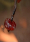 vampirediariesworld-dot-nl_TheOriginals5x05DontItJustBreakYourHeart01637.jpg
