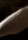Filename=VampireDiariesWorld-dot-nl_6x04BlackHoleSun2210.jpg
Filesize=121KiB
Dimensions=720x576
Date added=Oct 31, 2015 VampireDiariesWorld-dot-nl_6x04BlackHoleSun2210.jpg