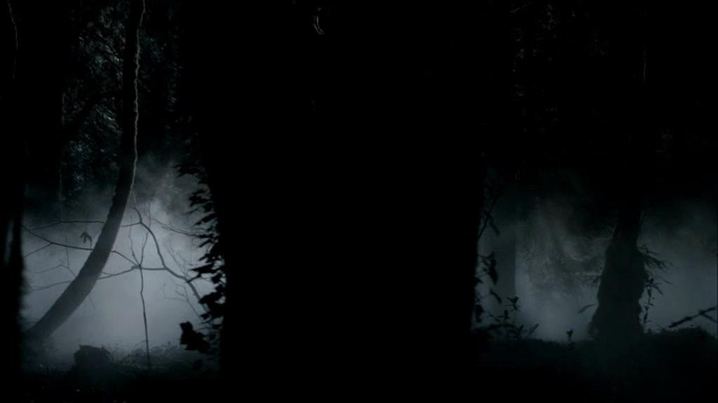 VampireDiariesWorld-dot-org_1x01Pilot_Captures00005.jpg VampireDiariesWorld-dot-org_1x01Pilot_Captures00005.jpg