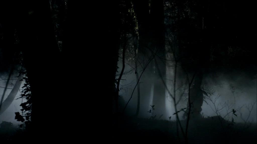 VampireDiariesWorld-dot-org_1x01Pilot_Captures00006.jpg