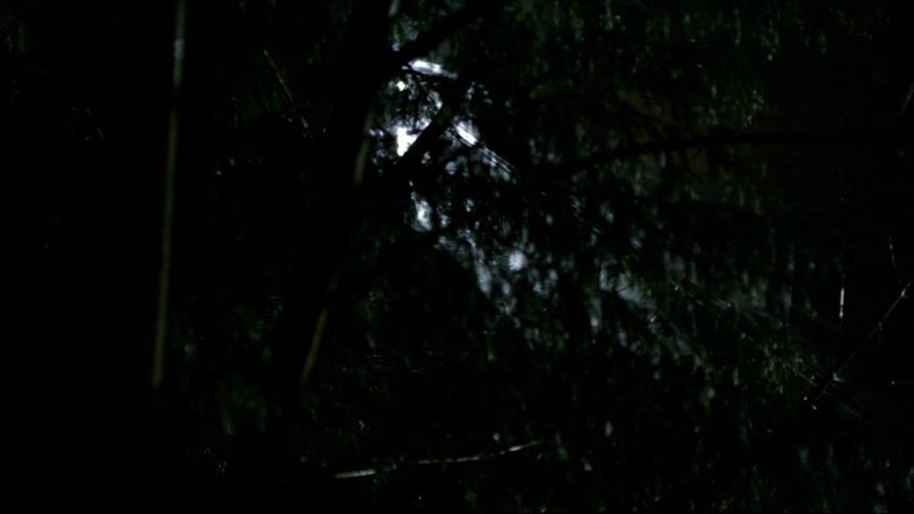 VampireDiariesWorld-dot-org_1x01Pilot_Captures00011.jpg
