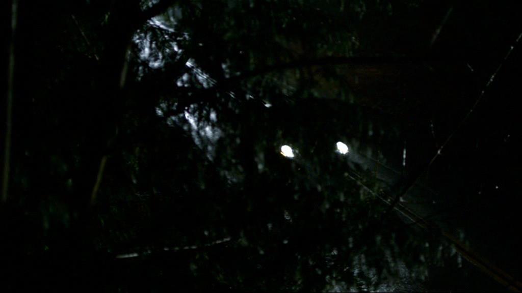 VampireDiariesWorld-dot-org_1x01Pilot_Captures00013.jpg