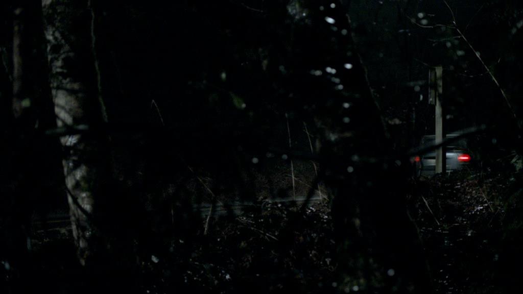 VampireDiariesWorld-dot-org_1x01Pilot_Captures00019.jpg