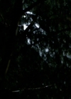 VampireDiariesWorld-dot-org_1x01Pilot_Captures00011.jpg