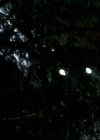 VampireDiariesWorld-dot-org_1x01Pilot_Captures00013.jpg