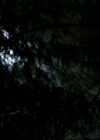 VampireDiariesWorld-dot-org_1x01Pilot_Captures00014.jpg
