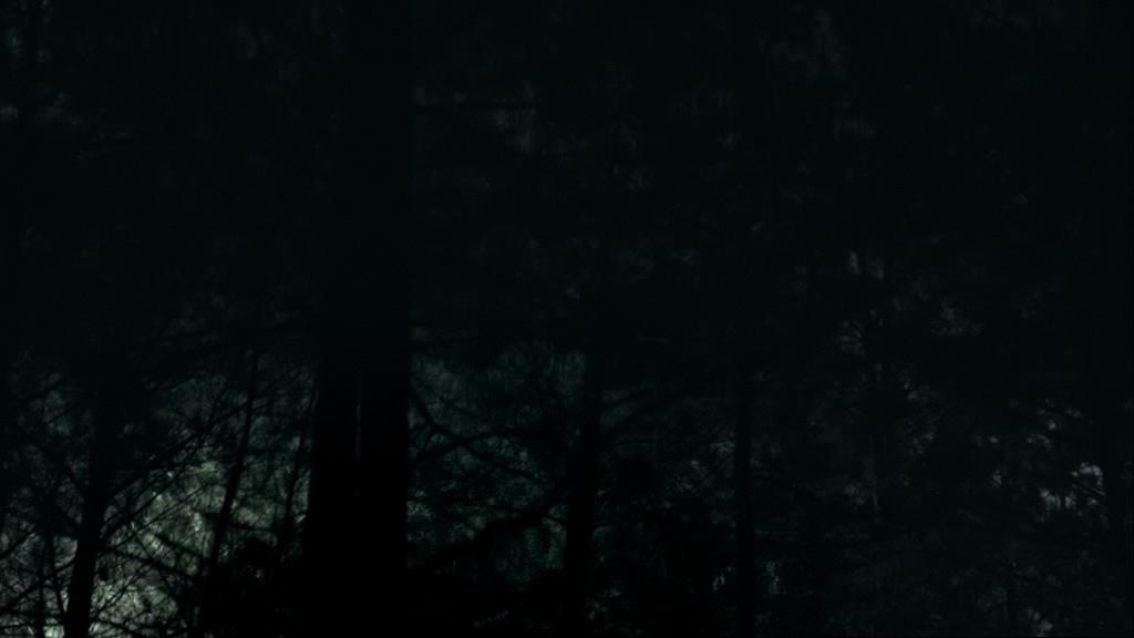 VampireDiariesWorld_dot_org-1x02TheNightOfTheComet00049.jpg VampireDiariesWorld_dot_org-1x02TheNightOfTheComet00049.jpg