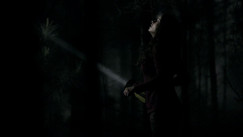 VampireDiariesWorld_dot_org-1x02TheNightOfTheComet00050.jpg VampireDiariesWorld_dot_org-1x02TheNightOfTheComet00050.jpg