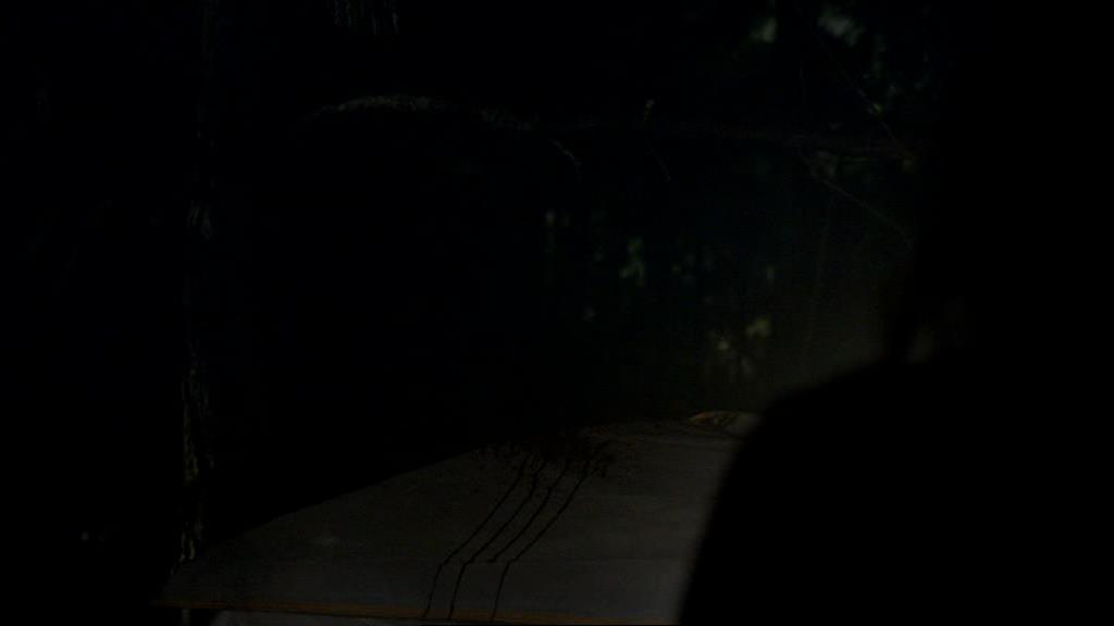 VampireDiariesWorld_dot_org-1x02TheNightOfTheComet00056.jpg VampireDiariesWorld_dot_org-1x02TheNightOfTheComet00056.jpg