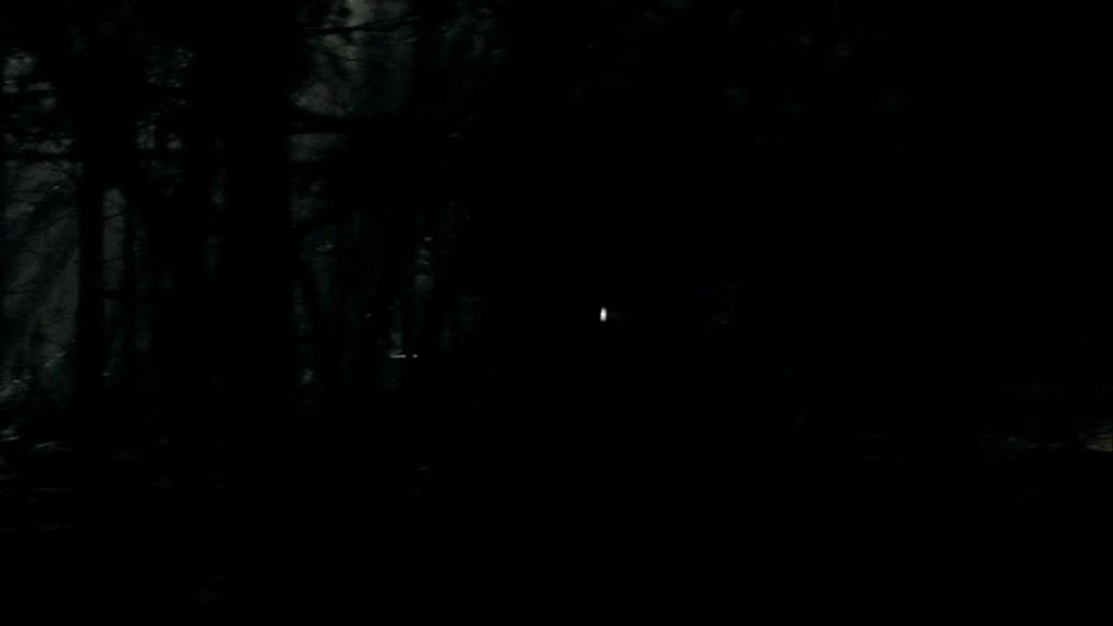 VampireDiariesWorld_dot_org-1x02TheNightOfTheComet00064.jpg VampireDiariesWorld_dot_org-1x02TheNightOfTheComet00064.jpg