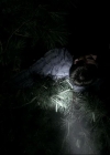 VampireDiariesWorld_dot_org-1x02TheNightOfTheComet00060.jpg