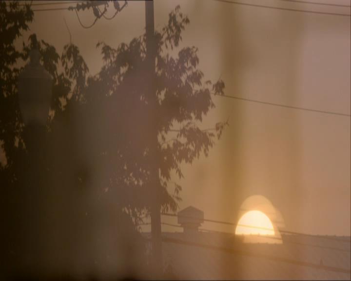 VampireDiariesWorld_dot_org-1x03FridayNightBites0003.jpg