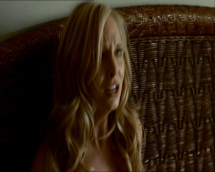 VampireDiariesWorld_dot_org-1x03FridayNightBites0112.jpg