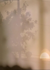 VampireDiariesWorld_dot_org-1x03FridayNightBites0004.jpg