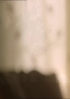 VampireDiariesWorld_dot_org-1x03FridayNightBites0005.jpg