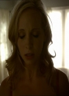 VampireDiariesWorld_dot_org-1x03FridayNightBites0081.jpg