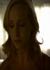 VampireDiariesWorld_dot_org-1x03FridayNightBites0083.jpg