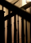 VampireDiariesWorld_dot_org-104FamilyTies0006.jpg