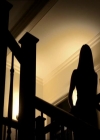 VampireDiariesWorld_dot_org-104FamilyTies0013.jpg