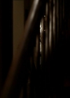 VampireDiariesWorld_dot_org-104FamilyTies0056.jpg