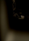 VampireDiariesWorld_dot_org-105YoureUndeadToMe0009.jpg