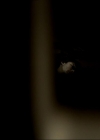 VampireDiariesWorld_dot_org-105YoureUndeadToMe0084.jpg