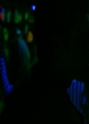 VampireDiariesWorld_dot_org-107Haunted1605.jpg