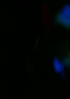 VampireDiariesWorld_dot_org-107Haunted1618.jpg