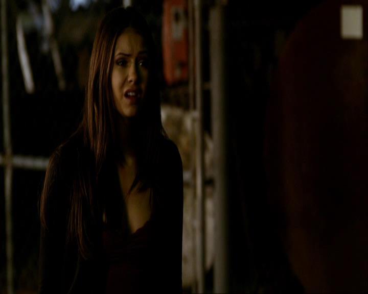 VampireDiariesWorld_dot_org-111Bloodlines1584.jpg