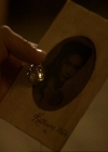 VampireDiariesWorld_dot_org-111Bloodlines0000.jpg