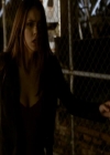 VampireDiariesWorld_dot_org-111Bloodlines1503.jpg