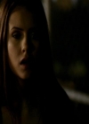 VampireDiariesWorld_dot_org-111Bloodlines1552.jpg
