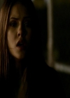 VampireDiariesWorld_dot_org-111Bloodlines1565.jpg