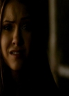 VampireDiariesWorld_dot_org-111Bloodlines1594.jpg
