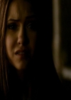 VampireDiariesWorld_dot_org-111Bloodlines1595.jpg