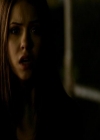 VampireDiariesWorld_dot_org-111Bloodlines1601.jpg