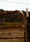 VampireDiariesWorld_dot_org-111Bloodlines1797.jpg