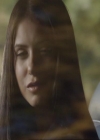 VampireDiariesWorld_dot_org-111Bloodlines1832.jpg