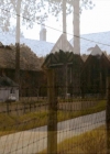 VampireDiariesWorld_dot_org-111Bloodlines1840.jpg