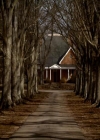 VampireDiariesWorld_dot_org-116ThereGoesTheNeighbourhood0000.jpg