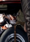 VampireDiariesWorld_dot_org-119MissMysticFall0069.jpg