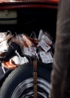 VampireDiariesWorld_dot_org-119MissMysticFall0071.jpg