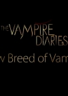 VampireDiariesWorld-dot-org_TVD-S1-SpecialFeatures_ANewBreedOfVampires_Captures00042.jpg