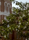 Filename=VampireDiariesWorld-dot-org_TVD-S1-SpecialFeatures_IntoMysticFalls_Captures00203.jpg
Filesize=83KiB
Dimensions=1024x576
Date added=Jun 30, 2014 VampireDiariesWorld-dot-org_TVD-S1-SpecialFeatures_IntoMysticFalls_Captures00203.jpg