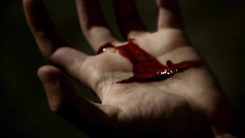 VampireDiariesWorld-dot-org_TVD-S1-SpecialFeatures_WhenVampireDontSuck_Captures00012.jpg VampireDiariesWorld-dot-org_TVD-S1-SpecialFeatures_WhenVampireDontSuck_Captures00012.jpg