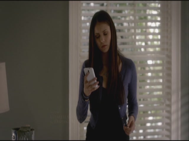 VampireDiariesWorld-dot-org-S3TVD_3x21BeforeSunset0362.jpg